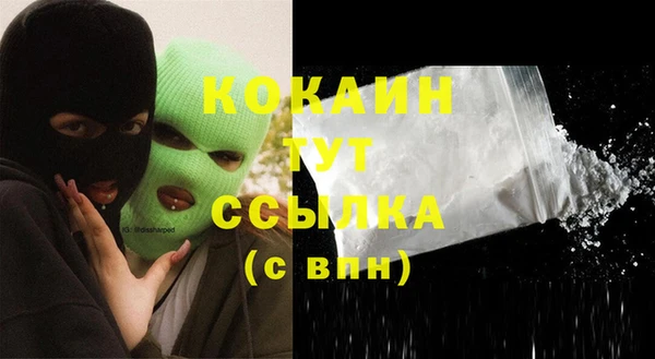 молекула духа Балахна