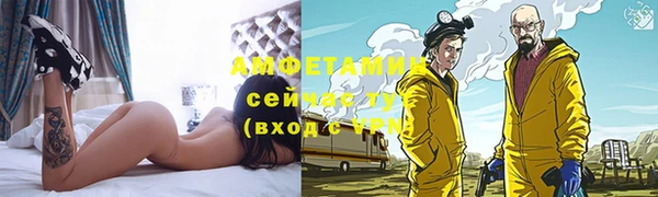 молекула духа Балахна