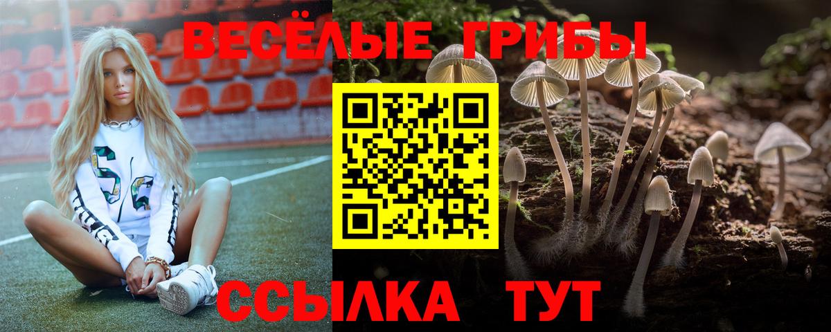 Псилоцибиновые грибы Magic Shrooms Алушта