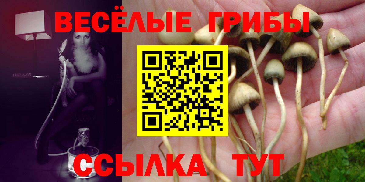Псилоцибиновые грибы мухоморы  Вход с VPN  Алушта 